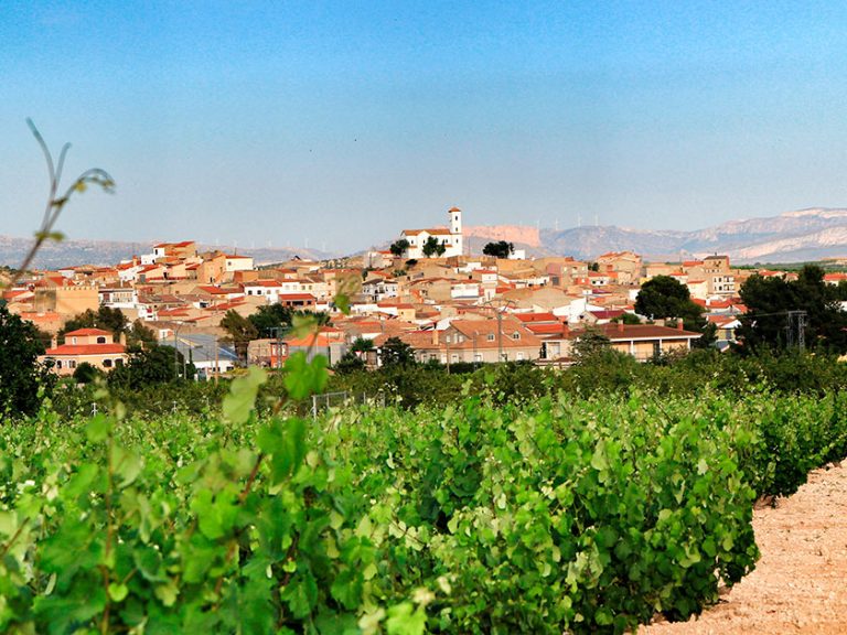 Siete cooperativas del Altiplano, Rio Mula y el Noroeste reciben 1,4 M€ por daños agrícolas en 2025