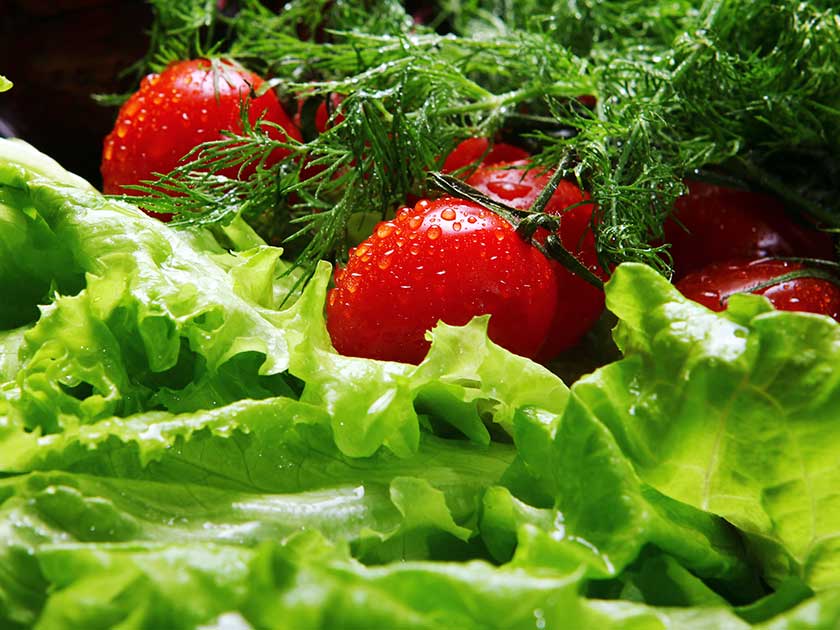 lechuga-tomate