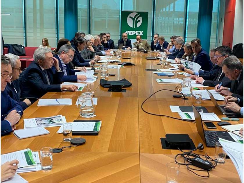 asamblea-fepex