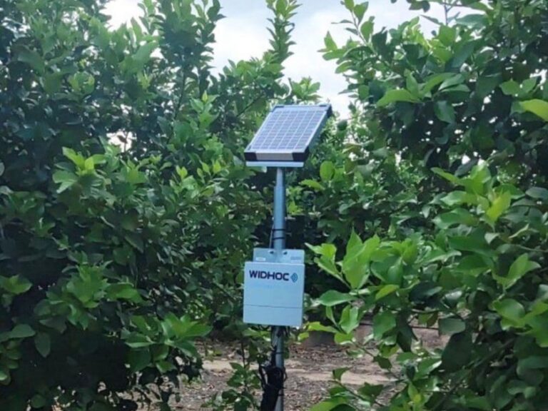 La agrotech Widhoc Smart Solutions adquiere los activos de ec2ce por casi 1 M€