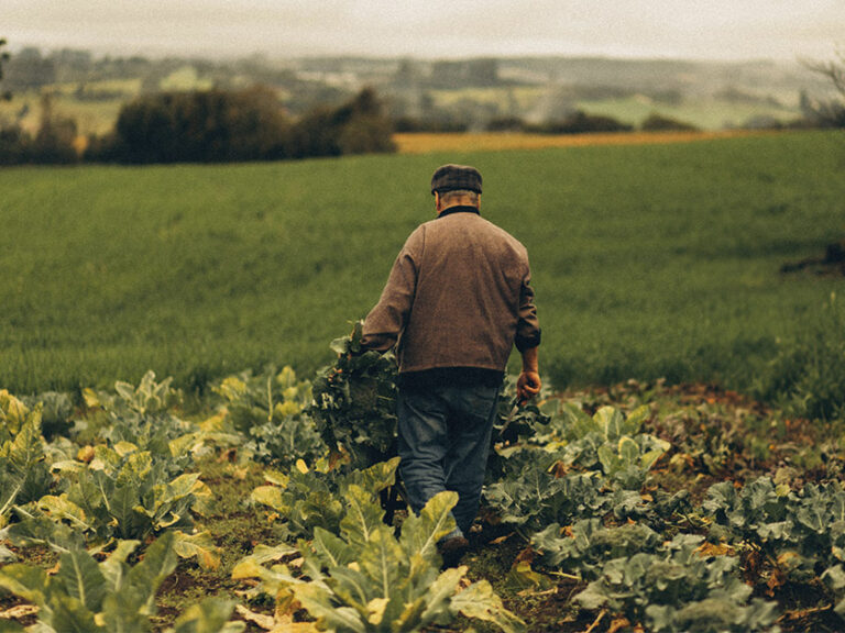 Las indemnizaciones agrarias superan los 710 M€ pese a reducirse un 11,5% la superficie siniestrada