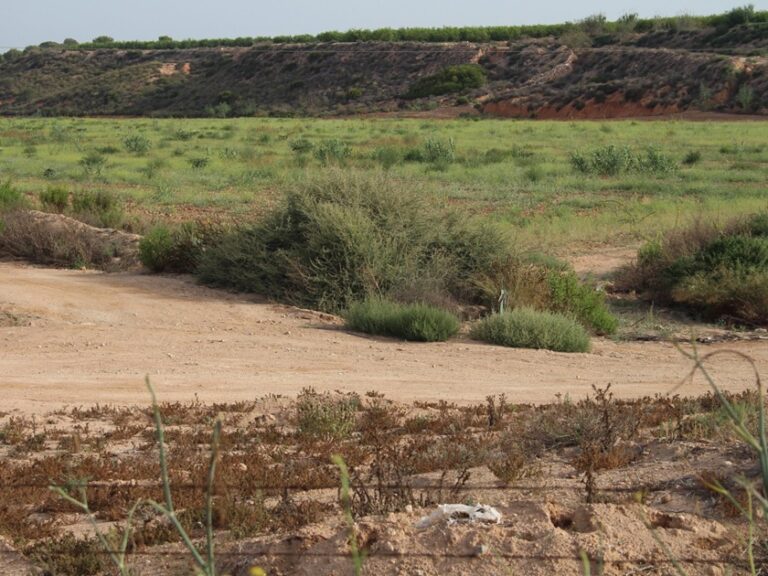 Las obras de corrección hidrológica y laminación en la rambla de Cobatillas costarán 16 M€