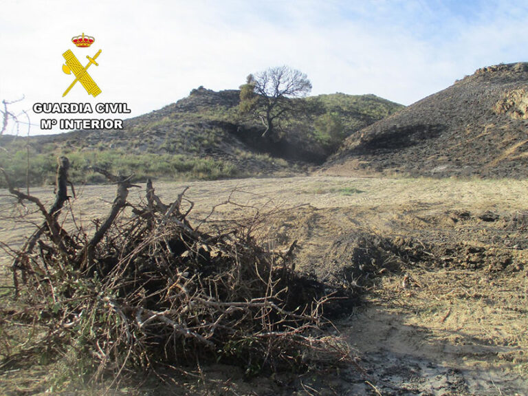 La Guardia Civil identifica al presunto autor de incendio forestal de 2 hectáreas en Zarcilla de Ramos