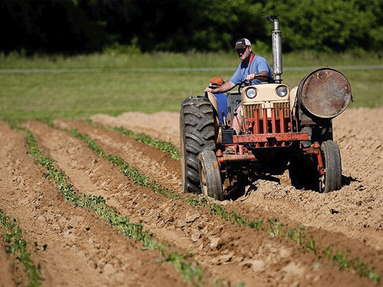 La Eurocámara simplifica la PAC y amplía las ayudas a pequeñas explotaciones