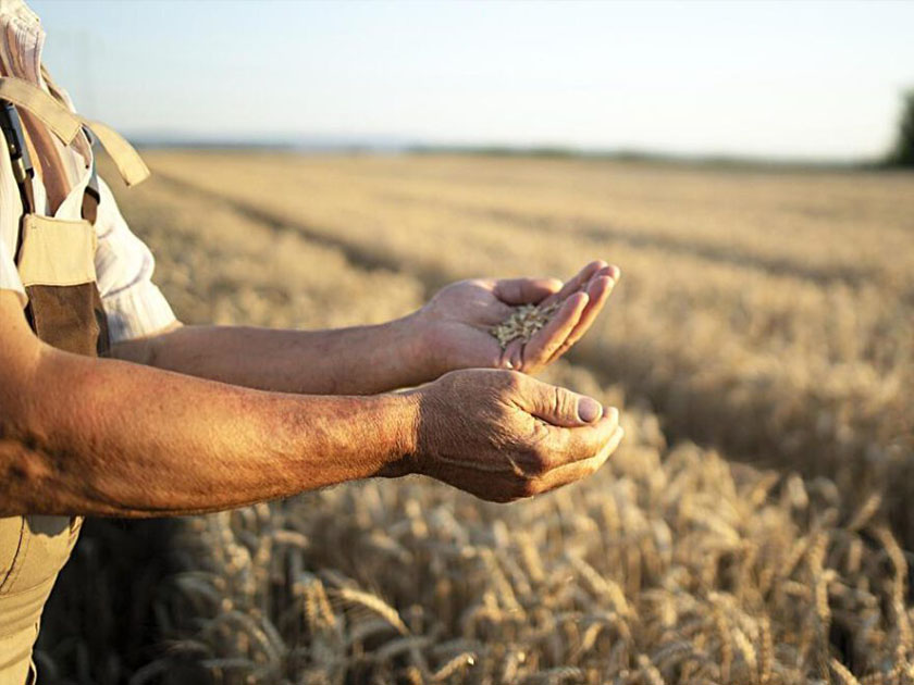 pac politica agraria comun agricultores