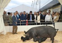 Sepor se prepara para volver a ser el epicentro mundial del sector ganadero, industrial y agro